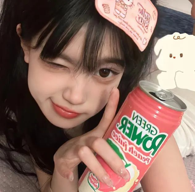 模型姐妹